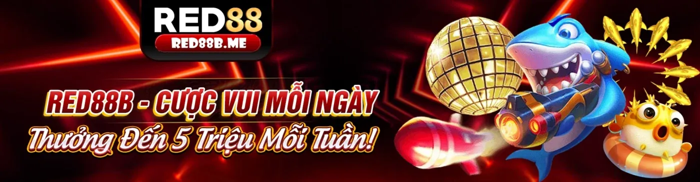 Cá cược thể thao 56win code sôi động