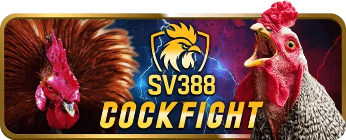 Biểu đồ tăng trưởng và các cột mốc quan trọng của 56win code